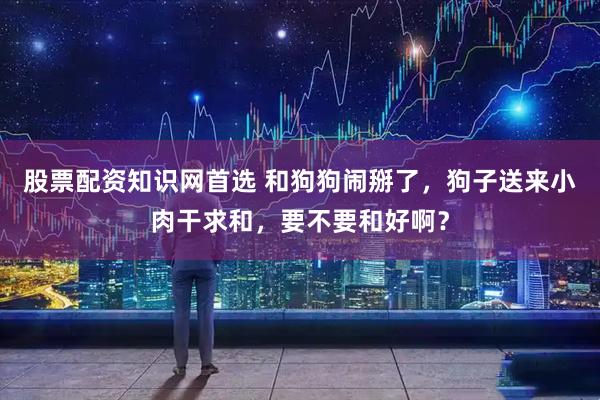 股票配资知识网首选 和狗狗闹掰了，狗子送来小肉干求和，要不要和好啊？